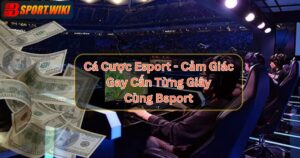 Cá Cược Esport - Cảm Giác Gay Cấn Từng Giây Cùng Bsport
