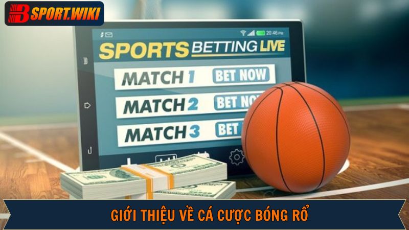Đôi nét về cá cược thể thao bóng rổ tại Bsport