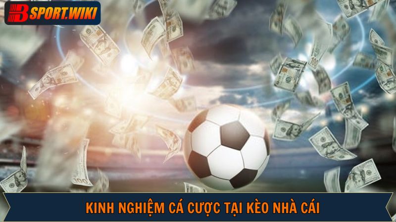Bí kíp soi kèo thể thao thắng lớn