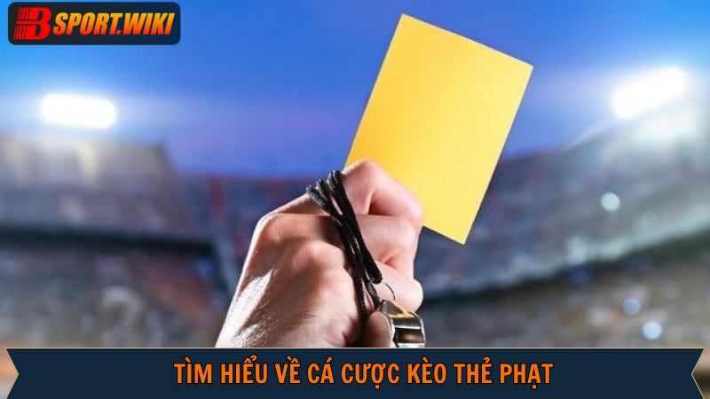 Tổng quan về hình thức giải trí thể thao thú vị