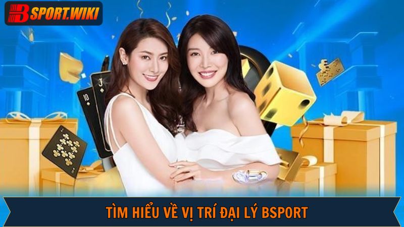 Tìm hiểu về vị trí đại lý