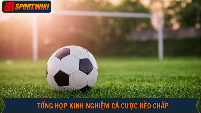 Những kinh nghiệm tham gia đem đến thành công nhất định