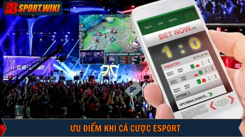 Bsport là một địa chỉ lý tưởng để chơi cá độ thể thao điện tử